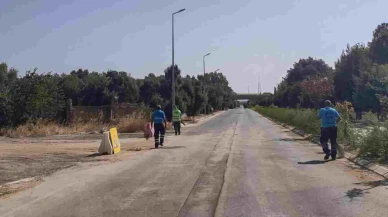 Efeler'de Çevre Temizliği İçin Büyük Kampanya Başlatıldı!