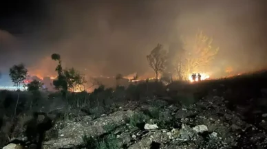 Ege'nin Cennet Köşesinde Korkutan Anlar: Muğla'da 7 Ayrı Yangın Alarmı!