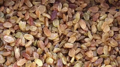 TMO, Kuru Üzüm Fiyatlarını Duyurdu! Alım Bedeli Belli Oldu!