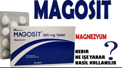 Magosit: Tanımı ve Kullanım Alanları Hakkında Bilgi