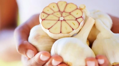 Sarımsağın 10 faydası! 1 dişi ilaç, fazlası zehir