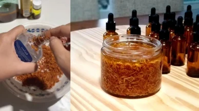 Avokado Çekirdeği Rendeleyip Zeytinyağıyla Tüketmek Yeni Sosyal Medya Modası Haline Geldi!