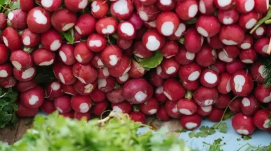 Yemekte her gün 1 turp yiyince ne olur 5 güçlü etkisi var