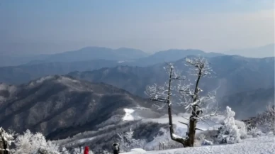 Rize’de Okullar Tatil mi? 2 Ocak Cuma Günü Okul Var mı?
