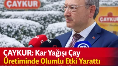 ÇAYKUR: Kar Yağışı Çay Üretiminde Olumlu Etki Yarattı
