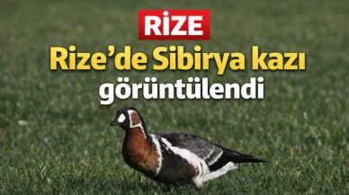 Rize'de Sibirya kazı görüntülendi