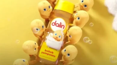 Dalin hangi ülkenin? Dalin hangi ülkeye ait?