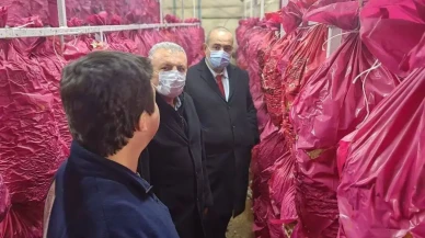 Mantarcılık kursunda teori ve uygulama buluştu