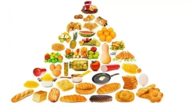 Yeni Besin Piramidi: Güncellenmiş Beslenme Rehberliği ve Önemli Değişiklikler