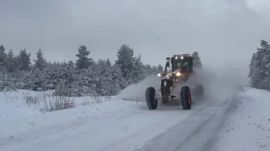 Yoğun kar ulaşımı etkiledi