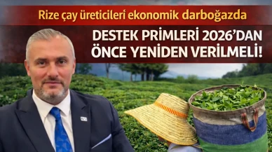 Rize çay üreticileri ekonomik darboğazda, destek primleri 2026'dan önce yeniden verilmeli!