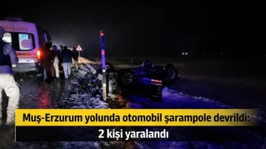 Muş-Erzurum yolunda otomobil şarampole devrildi: 2 kişi yaralandı