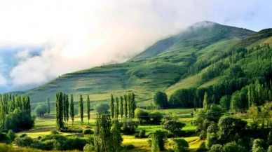 Rize Hakkında Bilinmesi Gerekenler