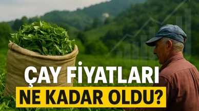 Çay Fiyatları Yükseliyor mu? Üretici Beklemede