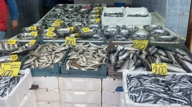 Pazar’da Hamsi Geri Döndü: Tezgâhlarda İki Ay Sonra Yerli Hamsi Sevinci
