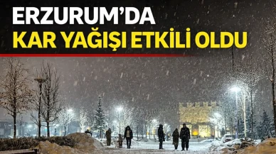 Erzurum'da kar yağışı etkili oldu