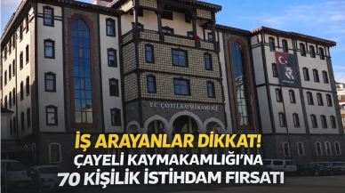 İş Arayanlar Dikkat! Çayeli Kaymakamlığı’na 70 Kişilik İstihdam Fırsatı
