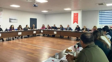 Kadına Yönelik Şiddetle Mücadelede İl Eylem Planı Hazırlıkları Başladı