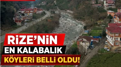 Rize'nin en kalabalık köyleri belli oldu