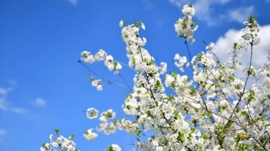 2026 Yılına Ait Soğuk Havaların Biteceği Tarihler Gündemde!