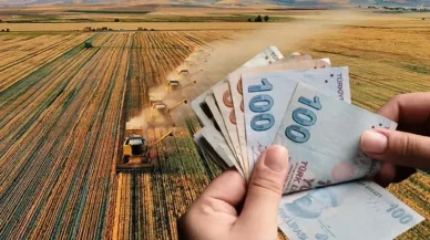Çiftçi Destek Ödemeleri İçin Tarih Açıklandı mı?