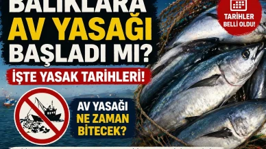 BALIKLARA AV YASAĞI BAŞLADI MI? Av Yasağı Ne Zaman Bitecek?