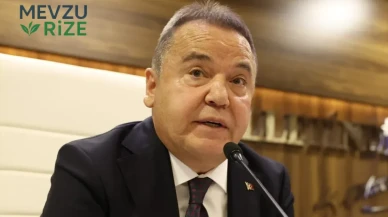 Muhittin Böcek, Etkin Pişmanlık İle İlgili Başvurusunu Yaptı