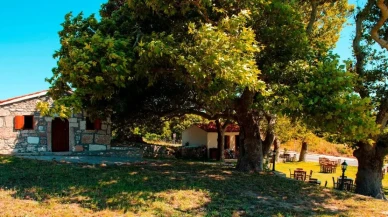 Ayazma Manastırı nerede? Ayazma Manastırı'na nasıl gidilir, güzel mi?
