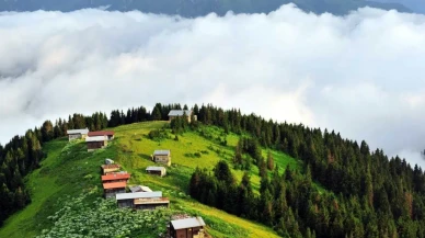 Pokut Yaylası nerede? Pokut Yaylasına nasıl gidilir, güzel mi?
