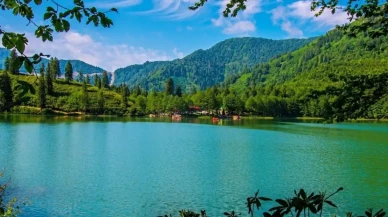 Borçka Karagöl Tabiat Parkı nerede? Borçka Karagöl Tabiat Parkı nasıl gidilir, güzel mi?