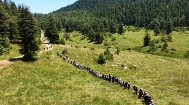 Başkonuş Yaylası nerede? Başkonuş Yaylası'na nasıl gidilir, güzel mi?