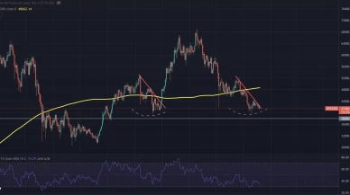 Bitcoin ve Altcoinlerde Yükseliş Trendine Dair Michael Van de Poppe'den Önemli Değerlendirmeler
