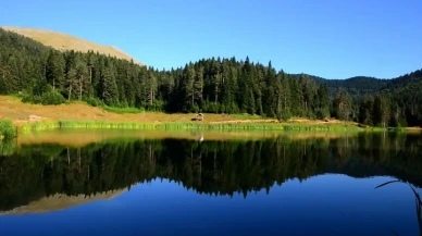 Yenice Ormanları nerede? Yenice Ormanları'na nasıl gidilir güzel mi?