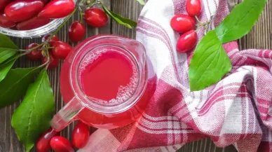 Antibiyotik Direncine Karşı Geleneksel Bir Mucize: Hem Lezzetli Hem Şifa Kaynağı!