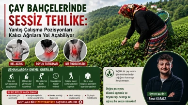 Çay Bahçelerinde Sessiz Tehlike: Yanlış Çalışma Pozisyonları Kalıcı Ağrılara Yol Açabiliyor