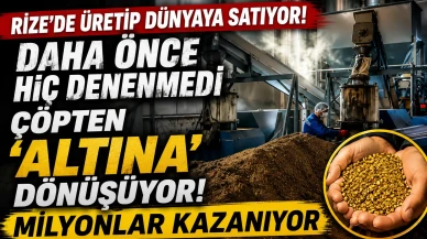 Rize'de üretip dünyaya satıyor! Daha önce hiç denenmedi, çöpten 'altına' dönüşüyor, milyonlar kazanıyor