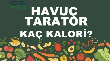 Havuç Tarator kaç kalori? Havuç Taratorun besin değerleri neler?