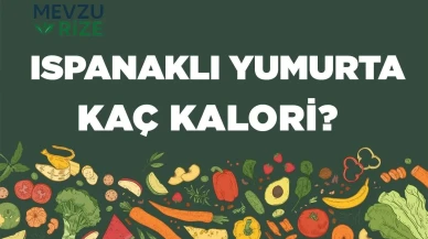 Ispanaklı Yumurta kaç kalori? Ispanaklı Yumurtanın besin değerleri neler?