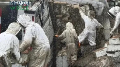 ABD'de arı kovanı yüklü tır devrildi : 2 milyon arı çevreye saçıldı