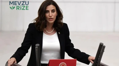 Evrim Rızvanoğlu Kimdir, Nereli? CHP İstanbul Milletvekilinin Hayatı ve Siyasi Kariyeri