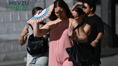 Fransa'da aşırı sıcakların acı bilançosu: Bin kişi hayatını kaybetti