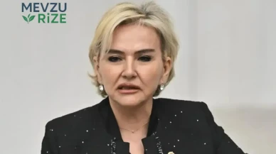 İstanbul Milletvekili Nimet Özdemir: Hayatı ve Kökeni Hakkında Bilgiler