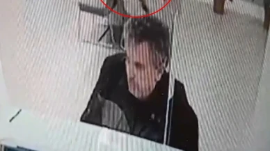 Kediler Banka İşlemlerine Damga Vurdu: Müşterinin Üzerine Düşen Kedinin Hikayesi!