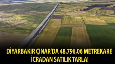 Diyarbakır Çınar'da 48.796,06 Metrekarelik Tarla İcra İhalesiyle Satışta!