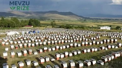 Ordulu Arıcılar Türkiye Ekonomisine 7 Milyar TL'lik Katkı Sağladı