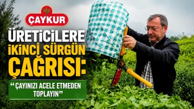 ÇAYKUR'dan İkinci Sürgün Açıklaması: Yaş Çay Alımları Devam Ediyor, Üreticilere Acele Etmeyin Çağrısı