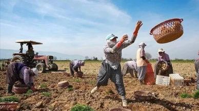 Fiyatı 5 Liradan 25 Liraya Yükselen Ürün, İstanbul, Ankara ve İzmir’de Talep Patlaması Yaşatıyor!