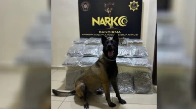 Gübre Torbaları Altında Saklanan Kaçaklar, Geçiş İzni Alamadı!