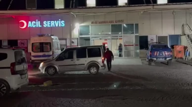 Kars'ta 3 Yaşındaki Çocuk Gölete Düşerek Hayatını Kaybetti