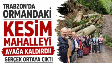 Trabzon’da Orman Kesimi Mahalle Sakinlerini Hareket Geçirdi! Gerçekler Gün Yüzüne Çıktı